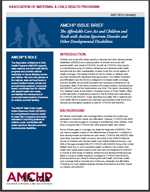 AMCHP Issue Brief.