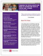 Foster Care Primer.